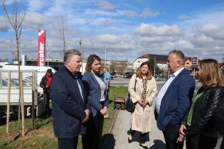 Zasaditev dreves med regionalno cesto in centrom Mercator 04 Foto Ljubo Vukelič